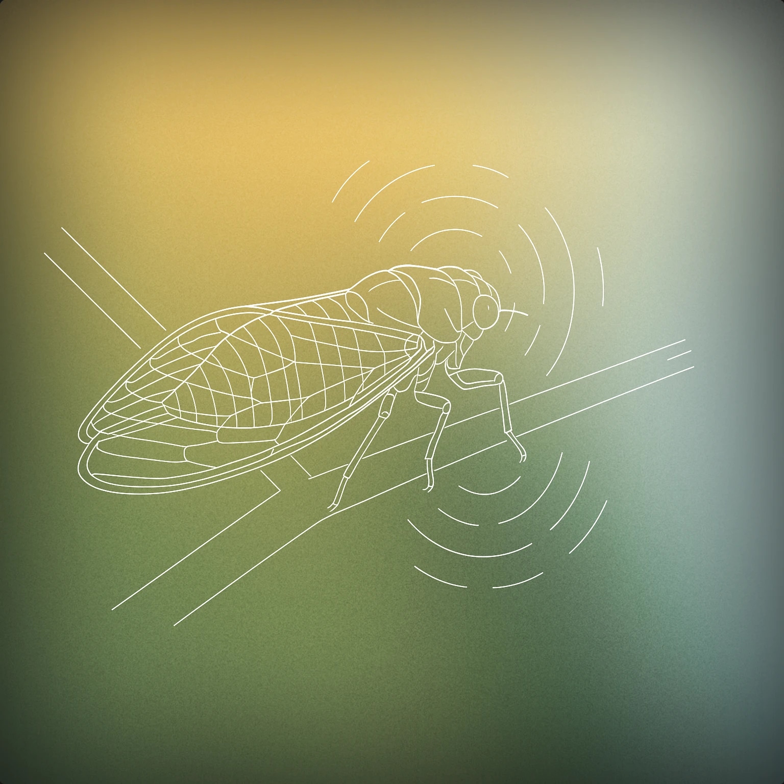 Cover of A stylized cicada perched on a simple branch, with subtle, abstract lines radiating from its body to suggest the vibration of its sound. for Cicada sound effects