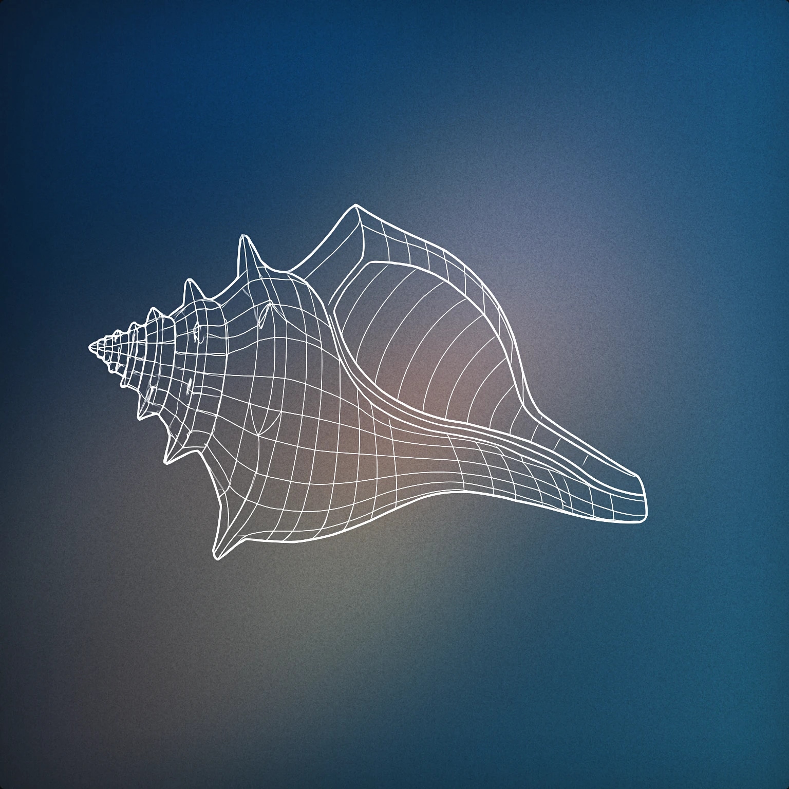 Cover of conch shell for Tribal sound effects