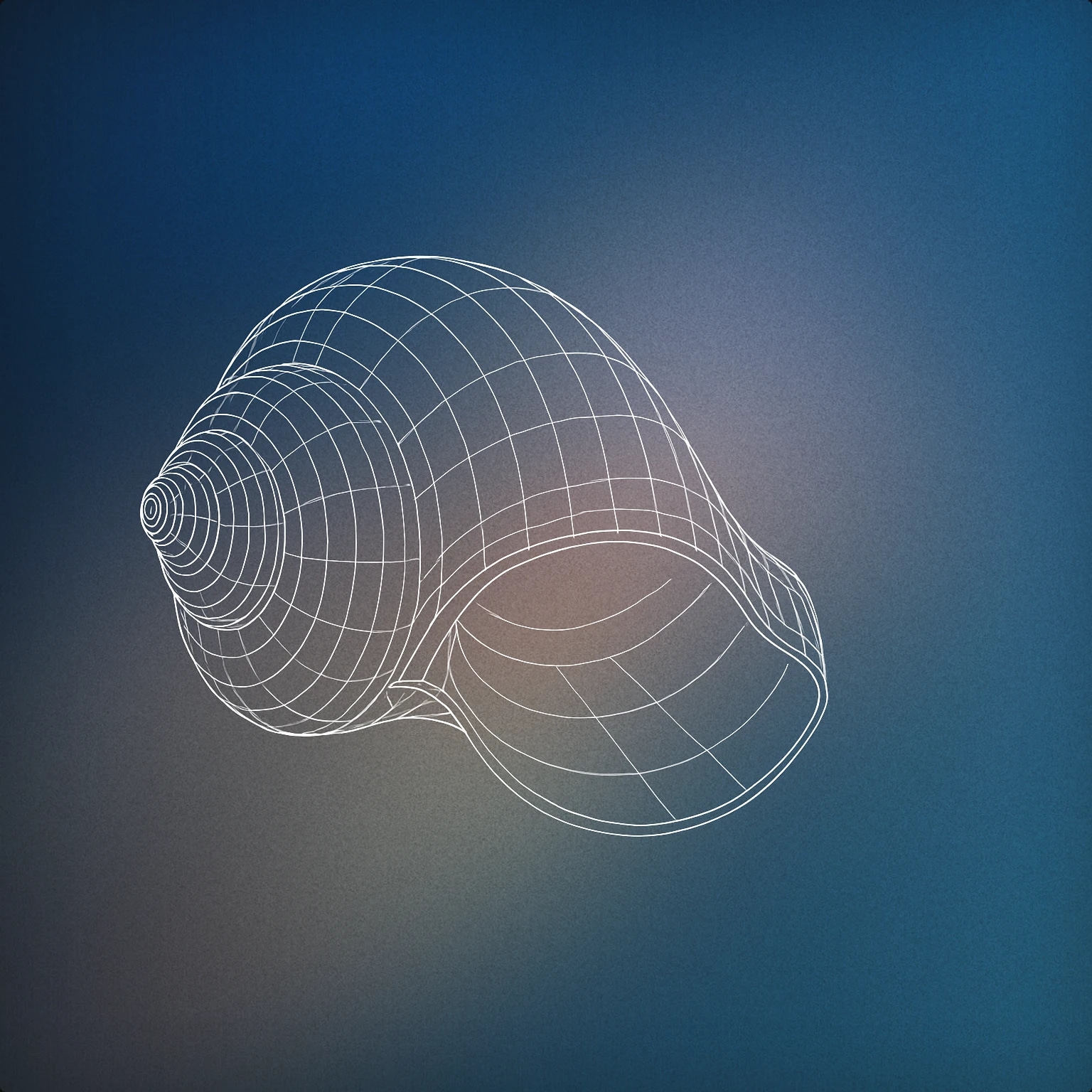 Cover of Seashell with a visible spiral opening for Beach sound effects