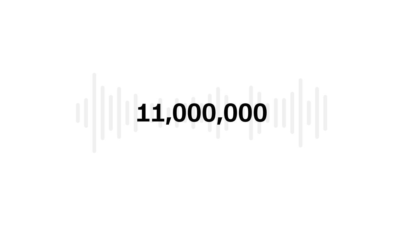 11,000,000