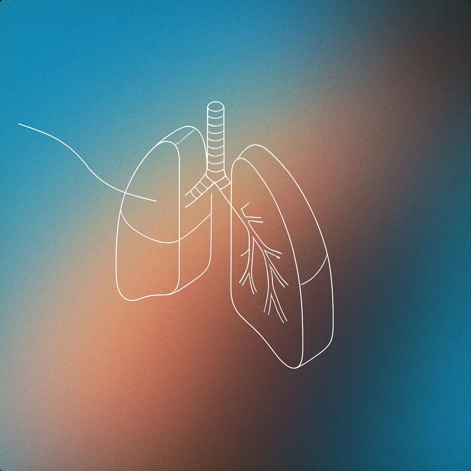 Cover of a stylized pair of human lungs with a single, smooth airflow line entering them for Breathe In sound effects