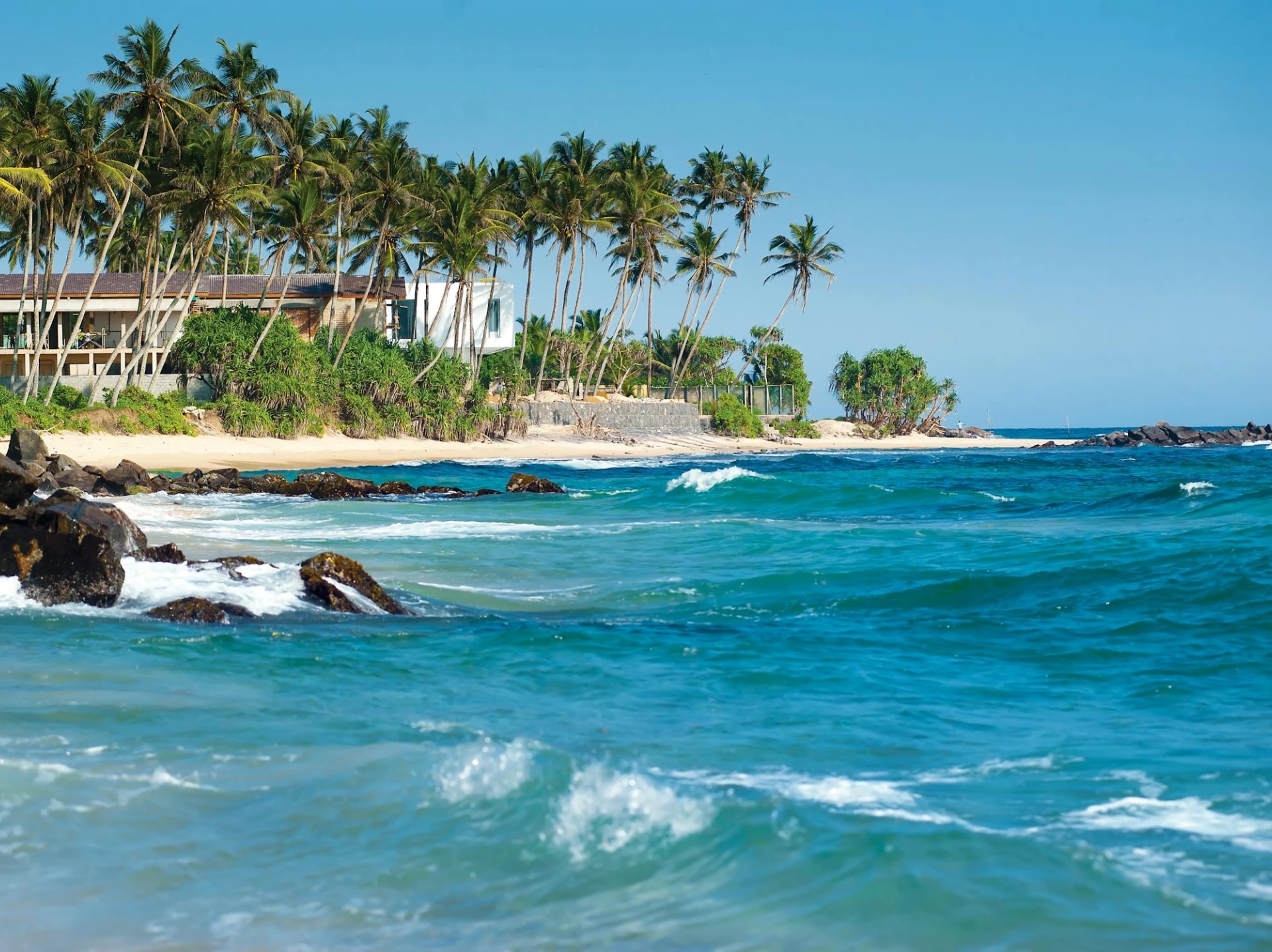 Tropical beach with palm trees, rocks, and ocean waves under a clear blue sky.