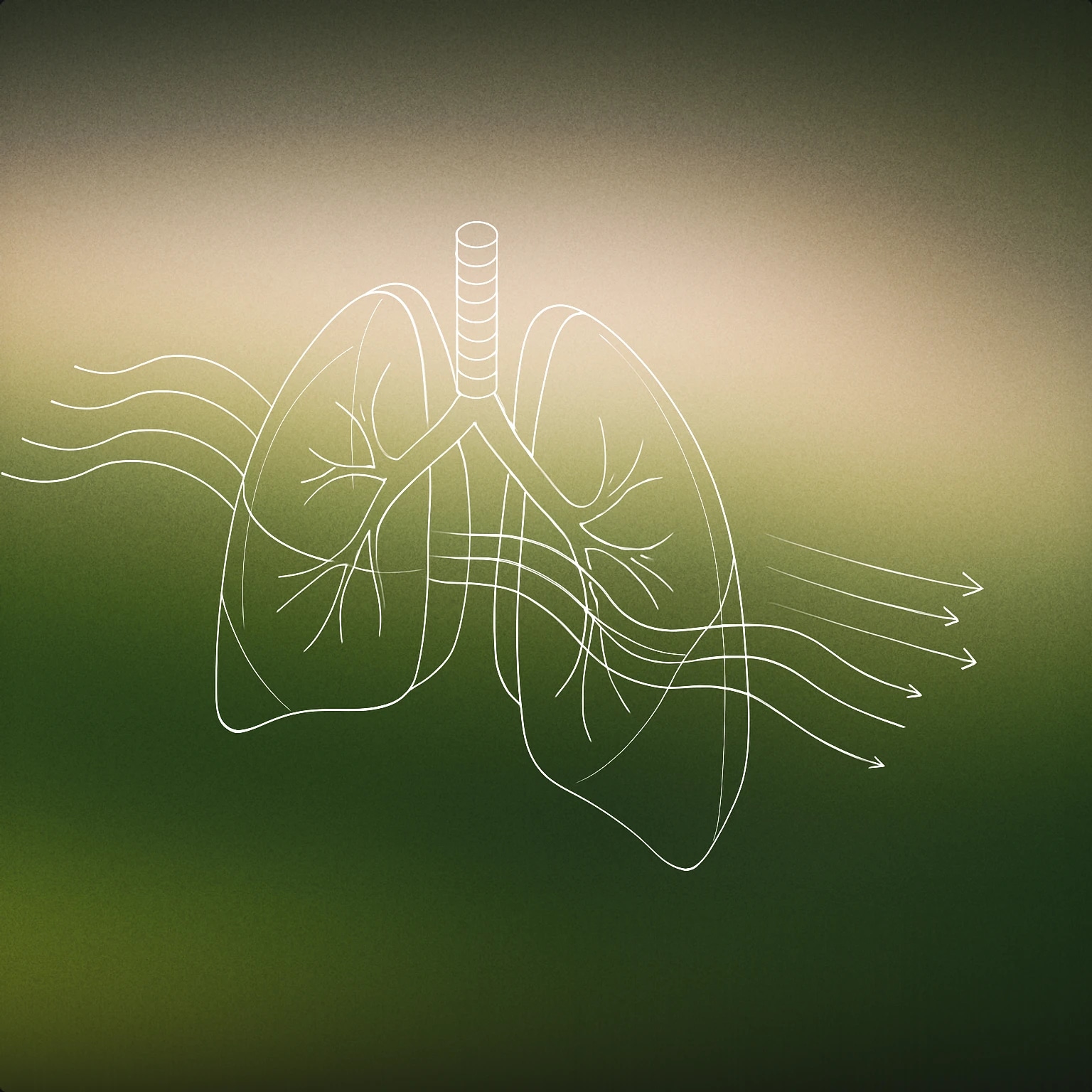 Cover of A stylized pair of simplified lungs with soft, flowing lines representing calm air flow entering and exiting for Deep Breath sound effects