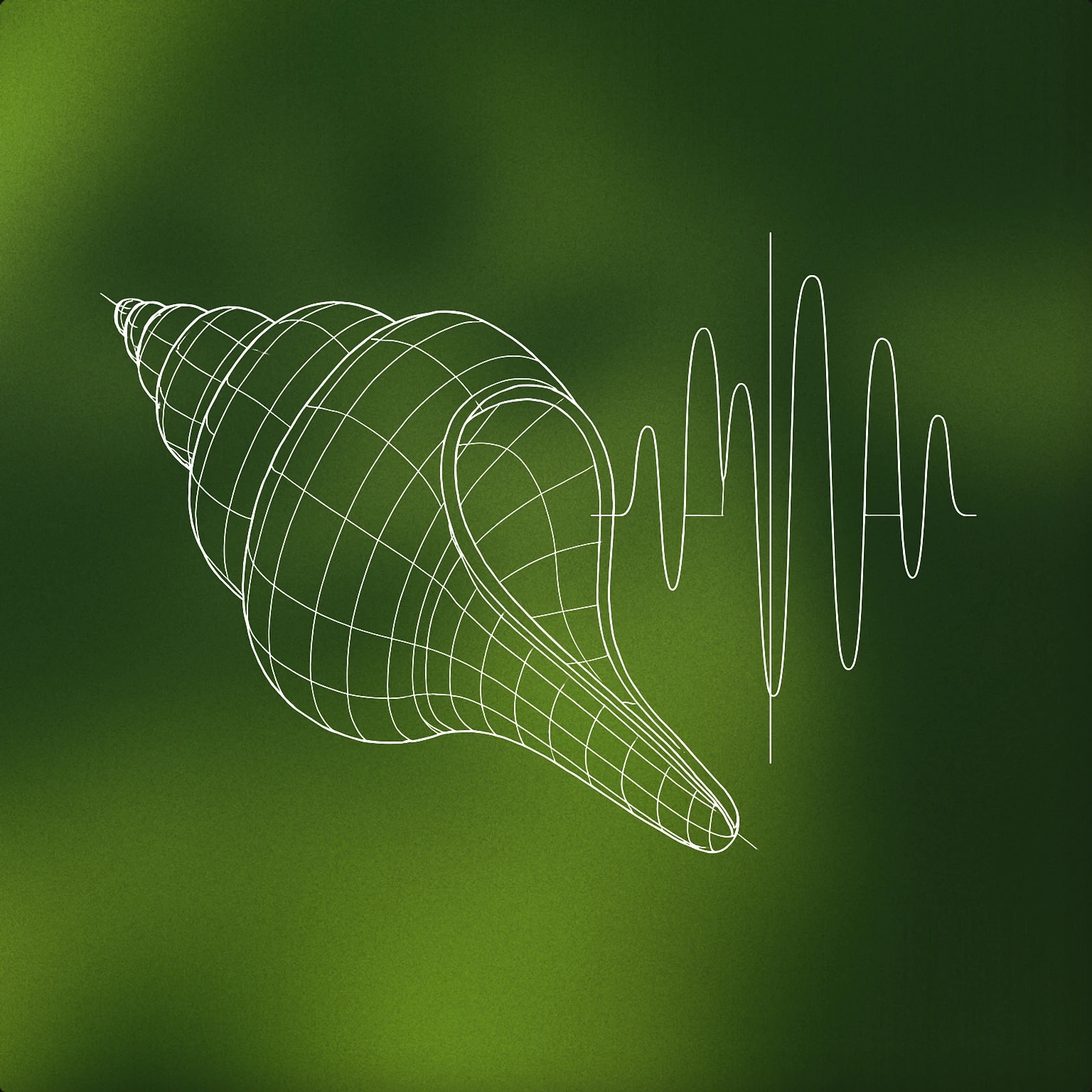 Cover of conch shell with a stylized soundwave emanating from its opening for Tropical sound effects