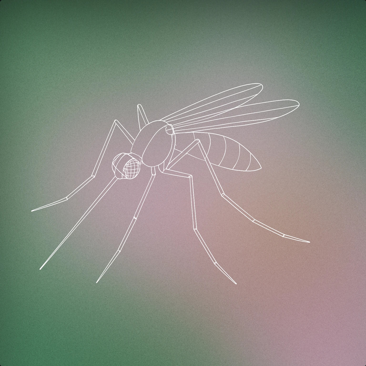 Cover of A minimal mosquito silhouette with an exaggerated long proboscis for Mosquito sound effects