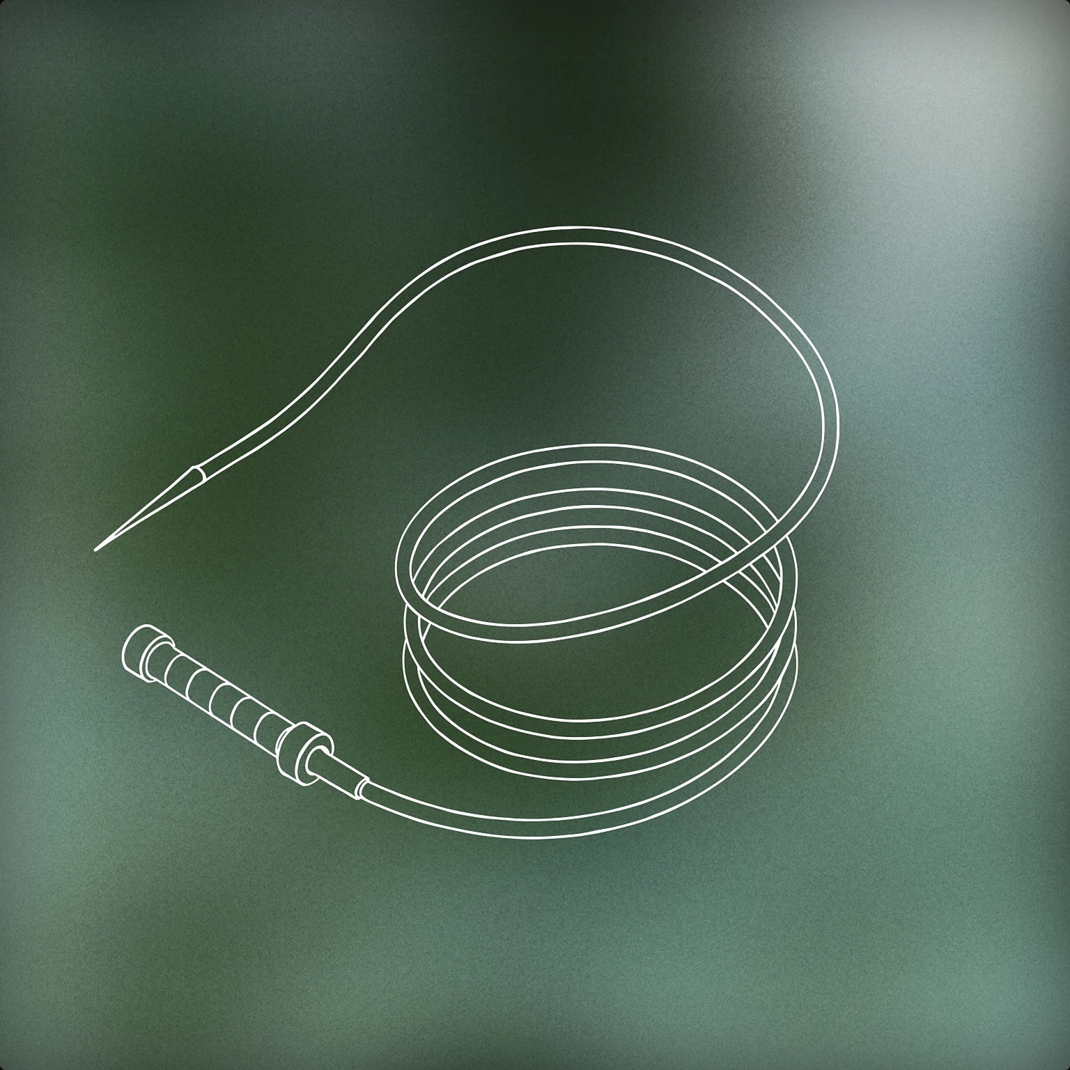 Cover of A coiled whip with a sharply angled tip, mid-snap, forming a dynamic arc in the air for Bullwhip sound effects