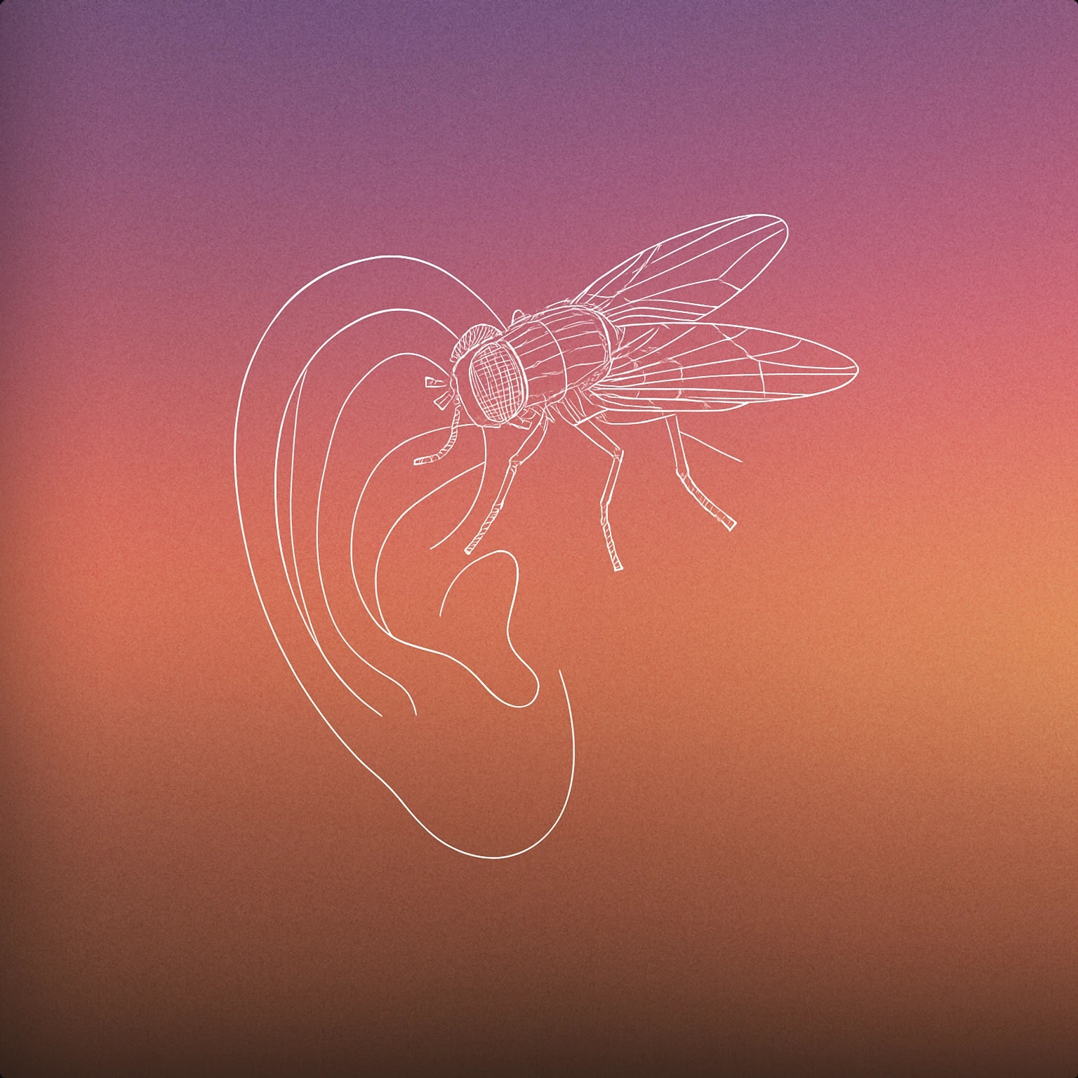 Cover of A stylized fly perched on a simple, oversized ear for Flies sound effects