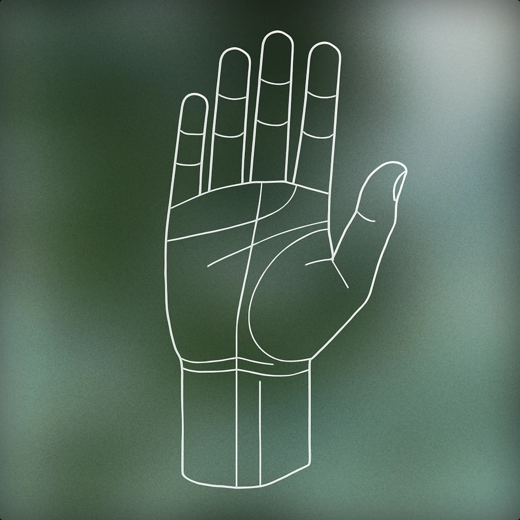 Cover of Raised hand with open palm for Audience sound effects