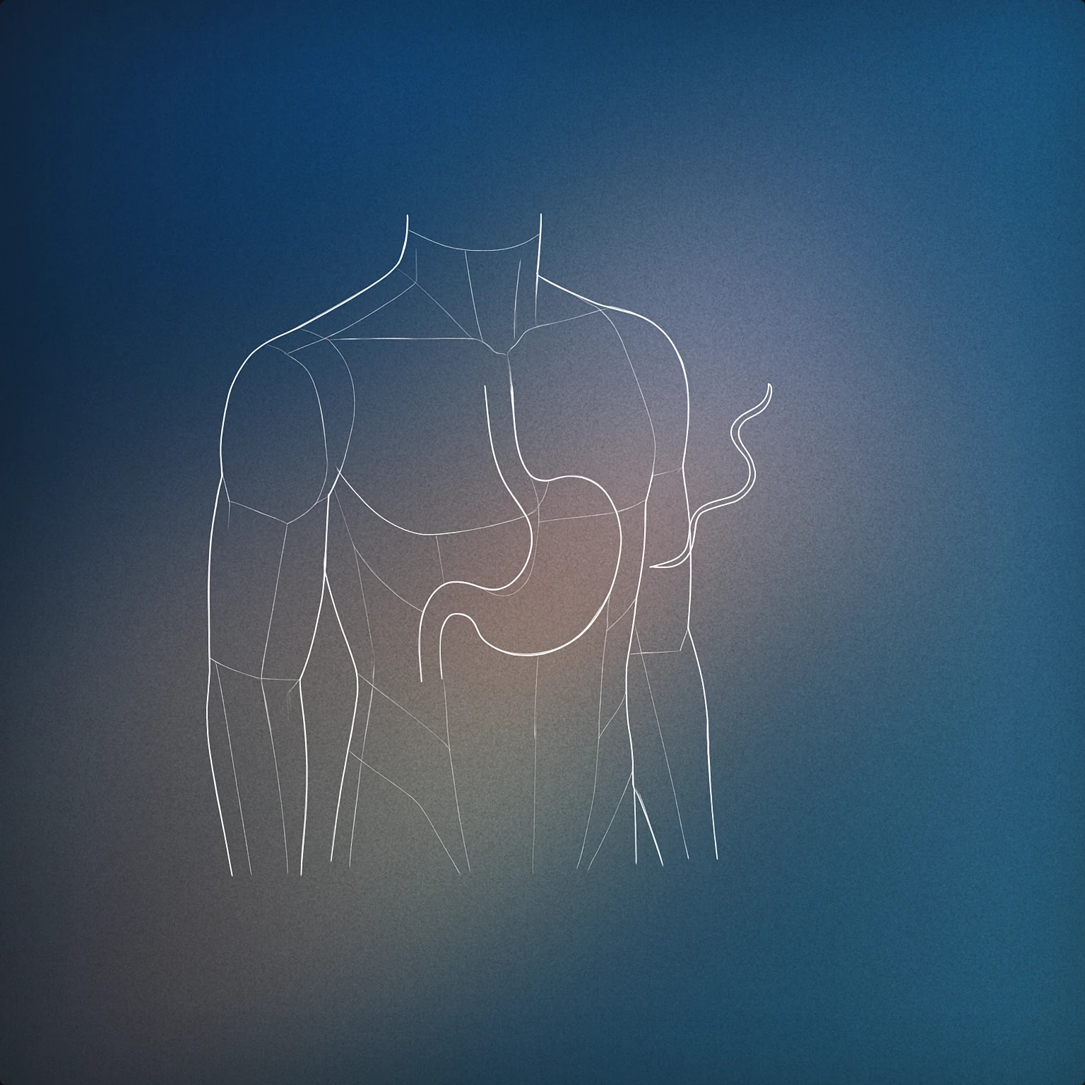 Cover of stylized human torso with a visible, simplified stomach shape and a single wavy line emanating from it for Stomach Rumbling sound effects