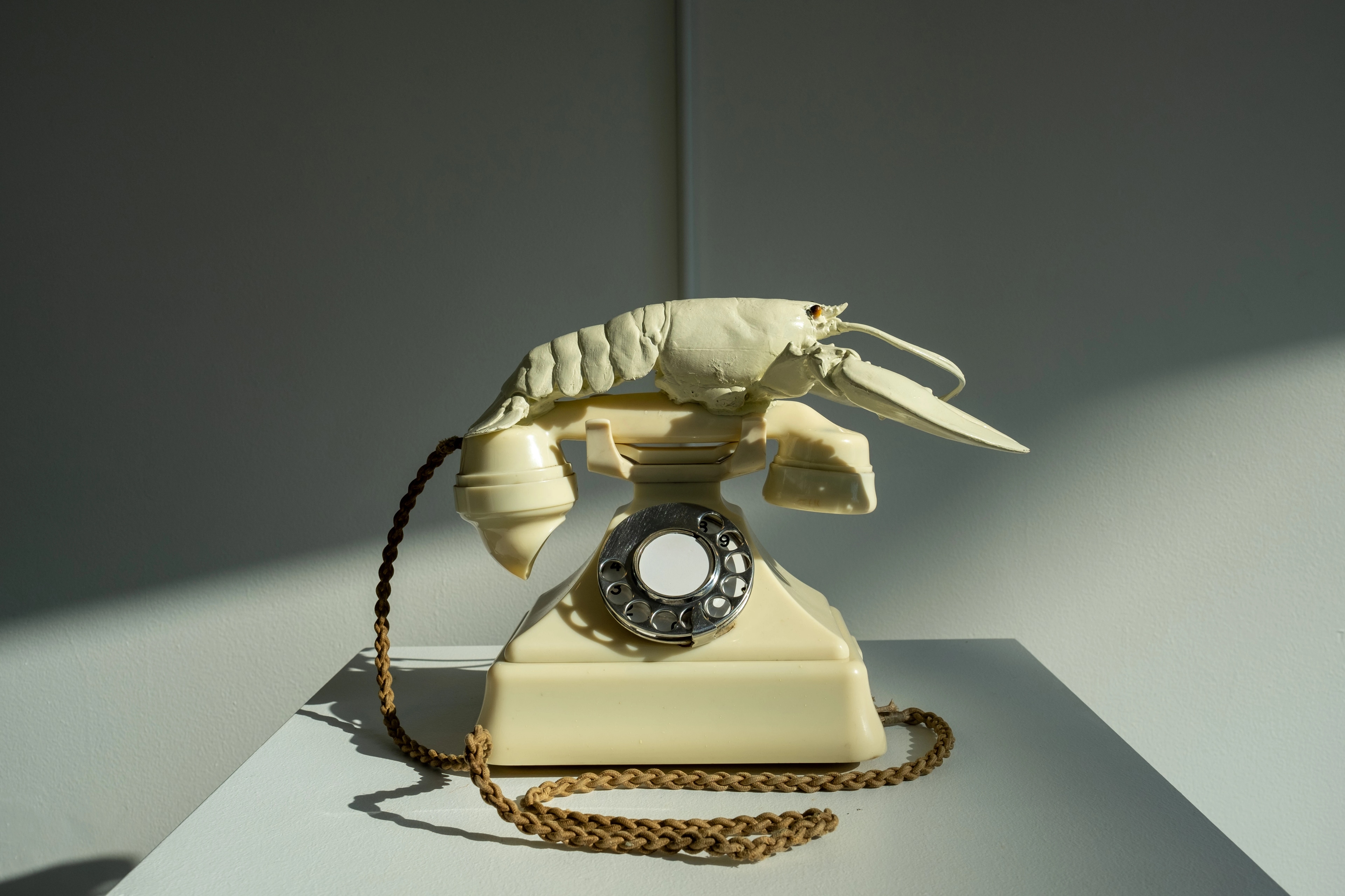 An old beige rotary telephone with a lobster perched on top, casting shadows on a white surface.