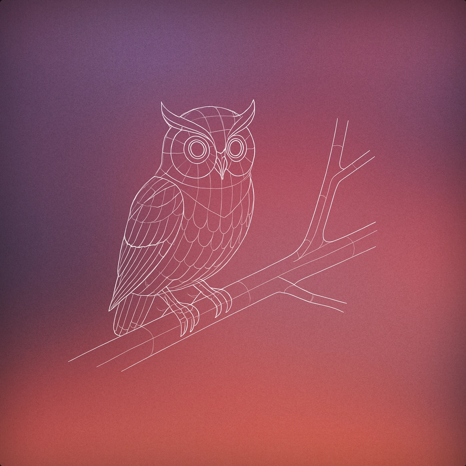 Cover of A lone, stylized owl perched on a slightly curved tree branch, eyes open wide for Forest Night sound effects