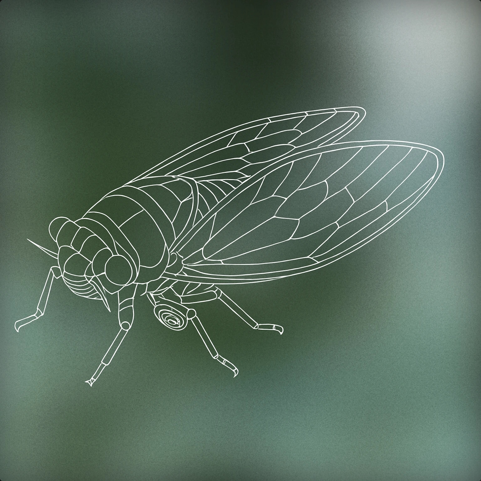 Cover of A stylized cicada with prominent wings and a visible sound-producing organ (tymbal) on its abdomen for Insect sound effects