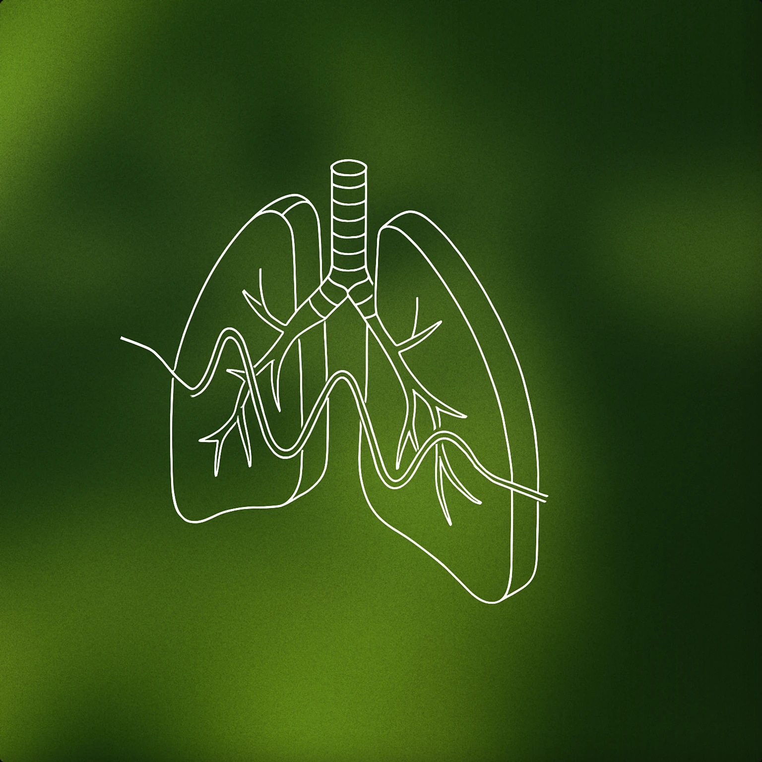 Cover of A stylized pair of human lungs with a subtle, flowing waveform passing through the bronchial tubes for Breathing sound effects