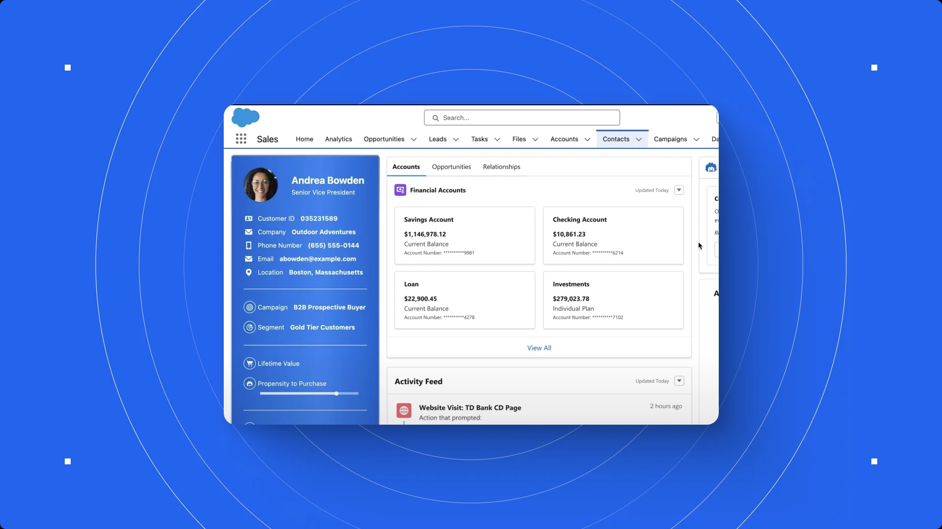 Screenshot of a Salesforce dashboard showing a contact profile and financial account details.