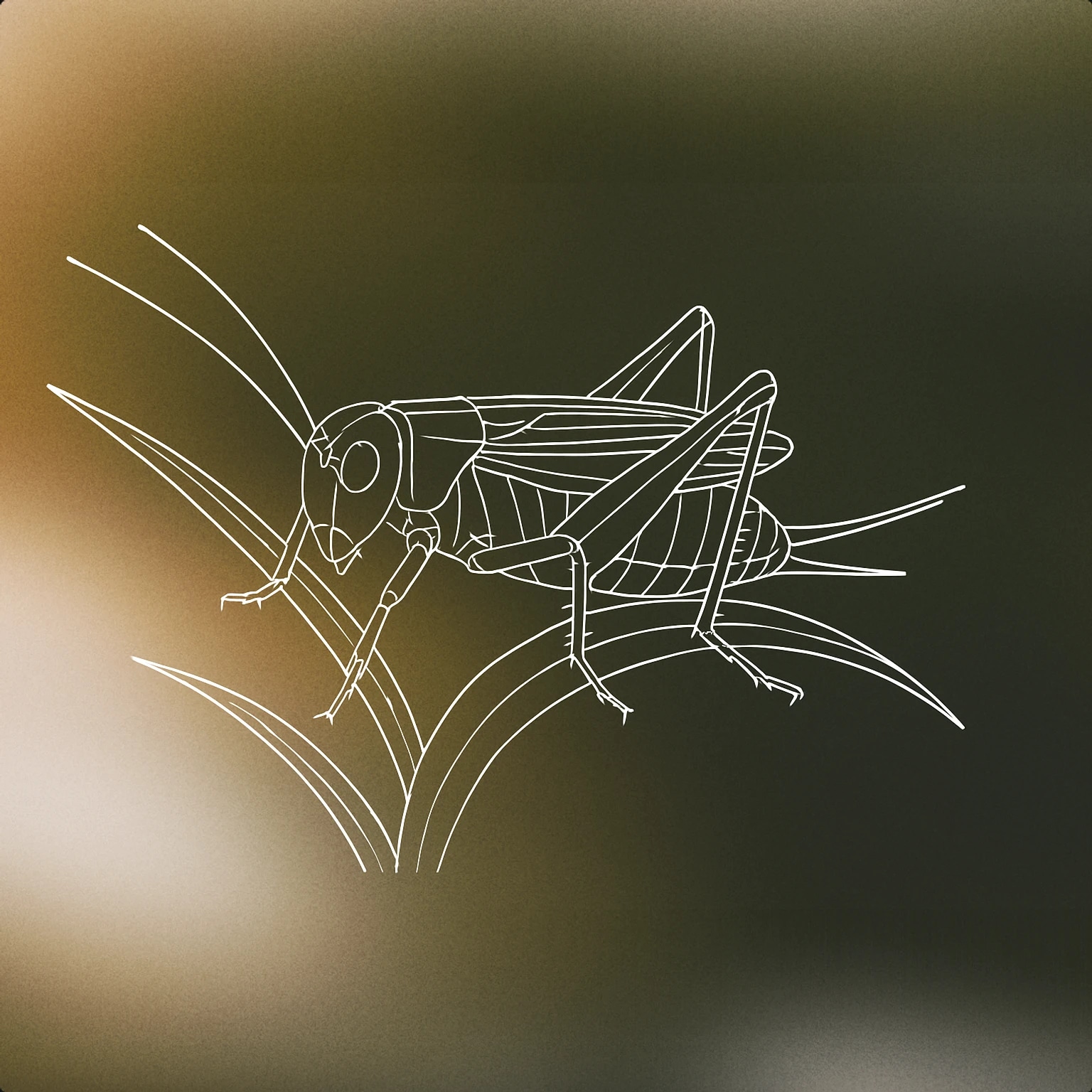 Cover of a single cricket perched on a stylized blade of grass for Crickets sound effects