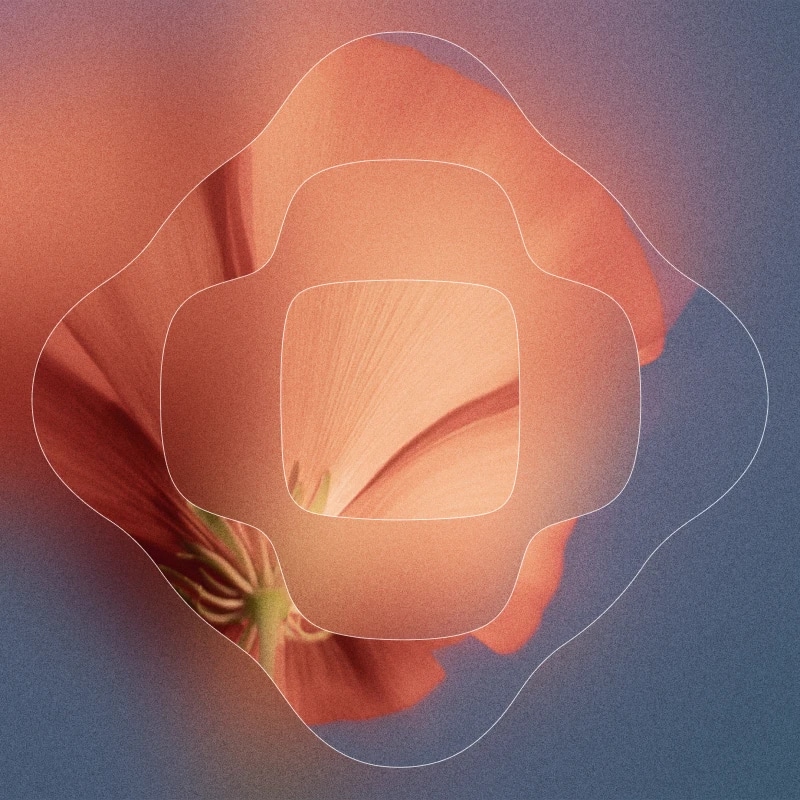 Voice Library Graphic 11