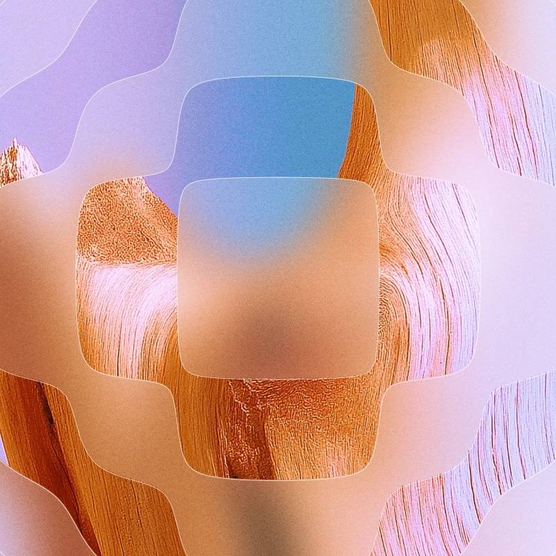 Voice Library Graphic 25