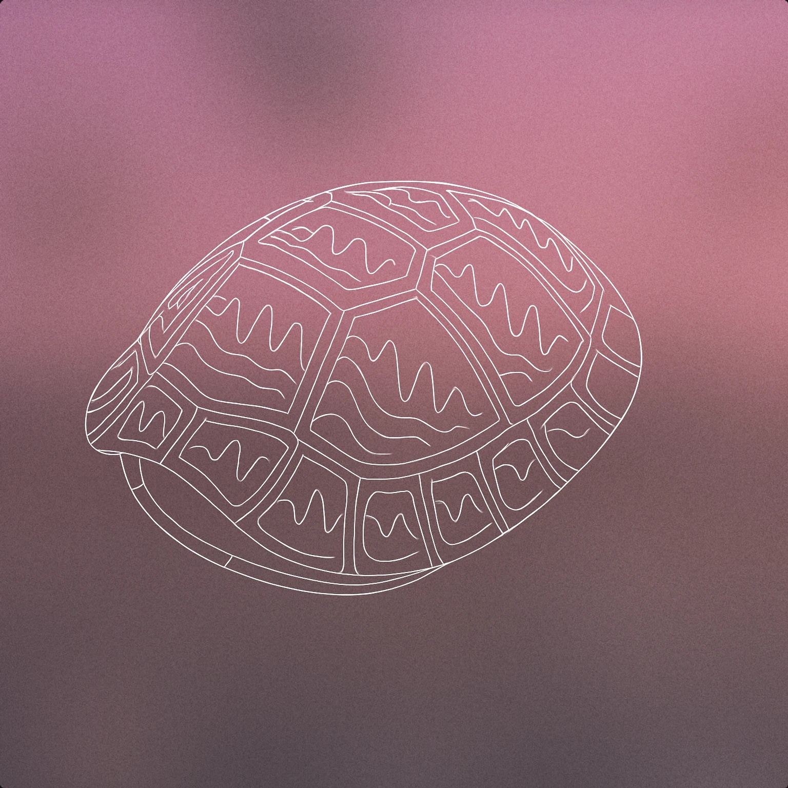 Cover of Turtle shell with stylized waveform patterns for Turtle sound effects