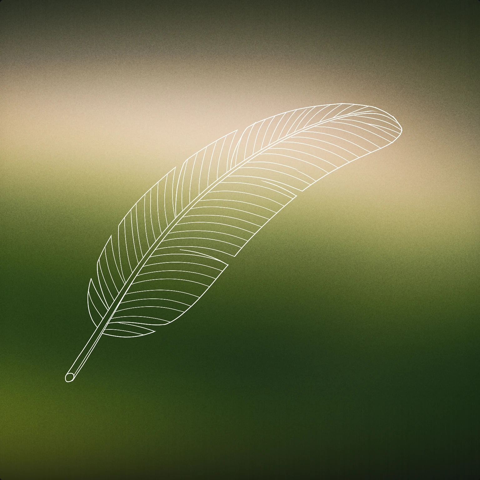 Cover of stylized feather in mid-motion with gentle curvature implying movement for Wings Flapping sound effects