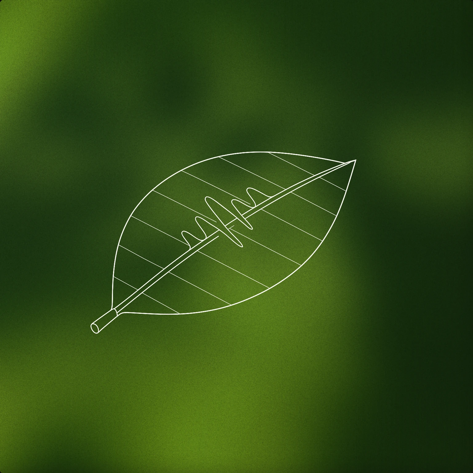 Cover of A single stylized leaf with a subtle engraved waveform pattern along its center vein for Leaves sound effects