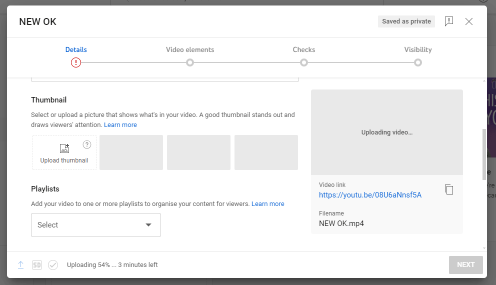 Screenshot of a video upload interface on YouTube, showing the "Details" tab with an upload progress bar at 54%.