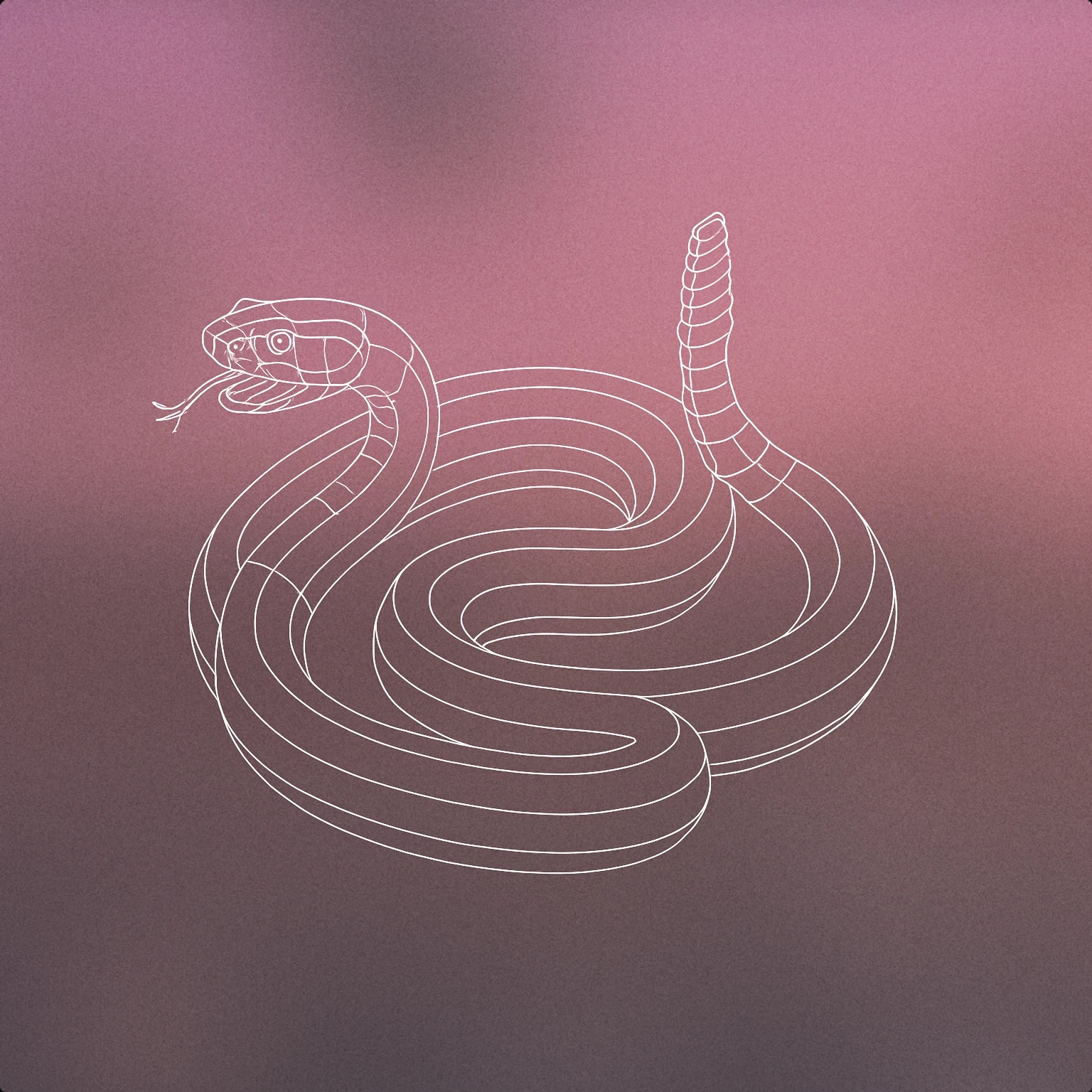 Cover of A coiled rattlesnake with its tail raised and rattle visible, mouth slightly open as if hissing for Rattlesnake sound effects