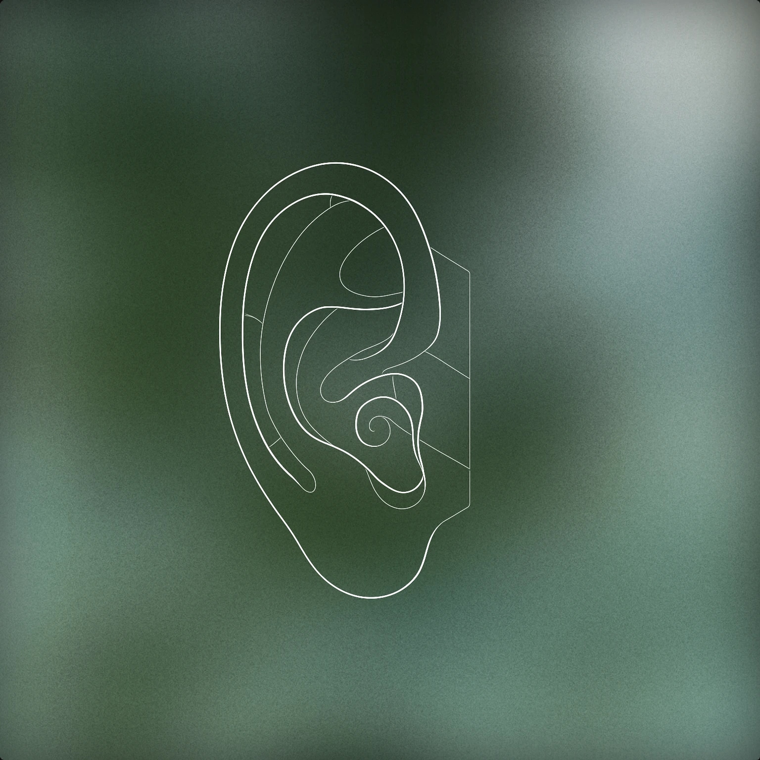 Cover of an anatomically stylized human ear with simplified contours and a visible inner spiral for Flesh sound effects